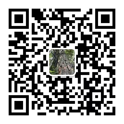 汉诺威（武汉）起重设备有限公司